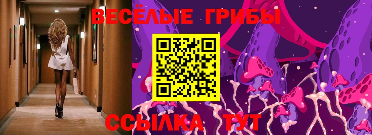 Псилоцибиновые грибы Magic Shrooms  Псилоцибиновые грибы мухоморы  Подольск  Вход с VPN 