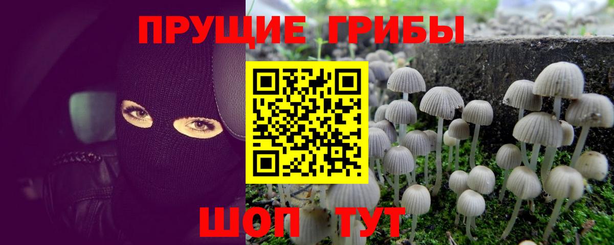 Гашиш  МЕФ  Кокаин  МАРИХУАНА  Подольск  Вход с VPN  Меф МЯУ МЯУ  